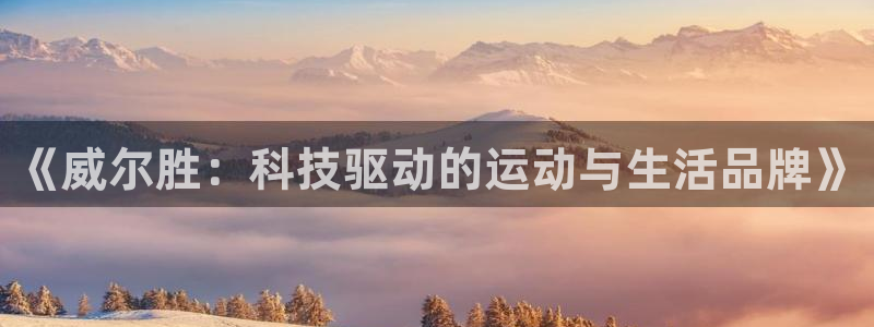 《威尔胜：科技驱动的运动与生活品牌》