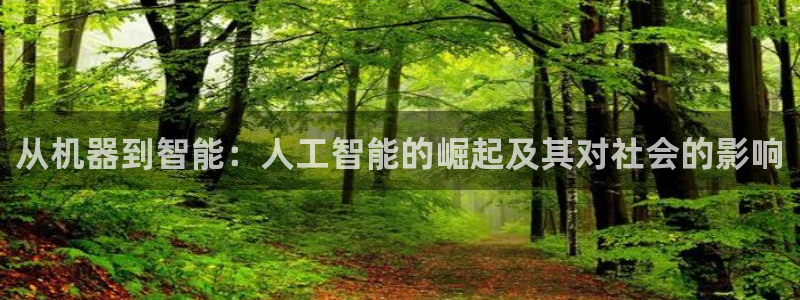 从机器到智能：人工智能的崛起及其对社会的影响
