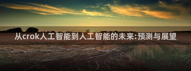 从crok人工智能到人工智能的未来:预测与展望