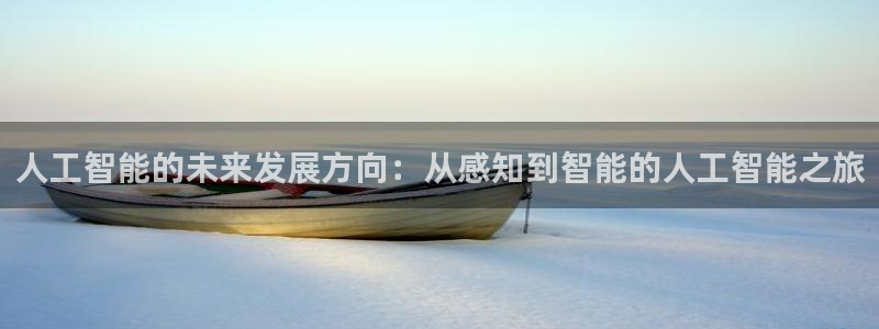 人工智能的未来发展方向：从感知到智能的人工智能之旅