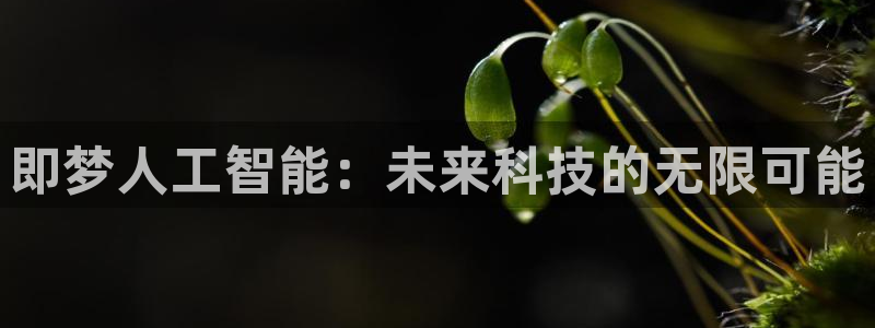 即梦人工智能：未来科技的无限可能