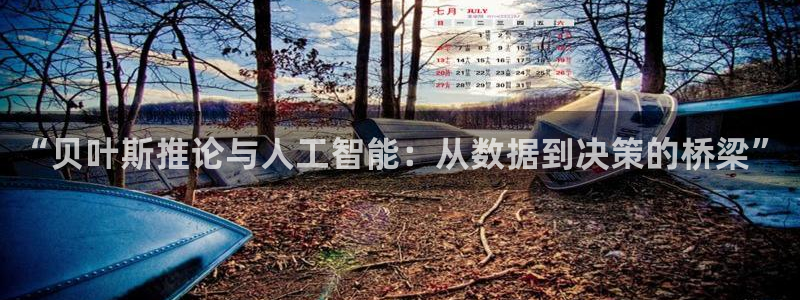 “贝叶斯推论与人工智能：从数据到决策的桥梁”