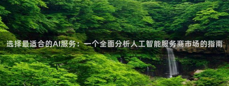 选择最适合的AI服务：一个全面分析人工智能服务商市场的指南