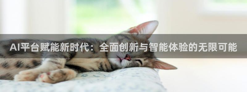 AI平台赋能新时代：全面创新与智能体验的无限可能