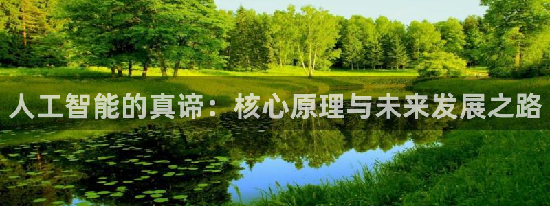 人工智能的真谛：核心原理与未来发展之路