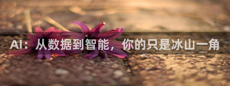 AI：从数据到智能，你的只是冰山一角