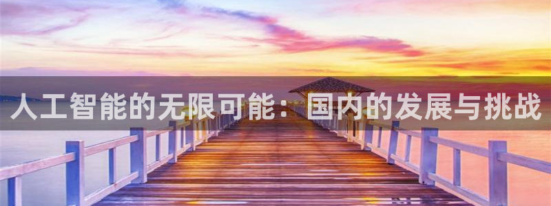 人工智能的无限可能：国内的发展与挑战