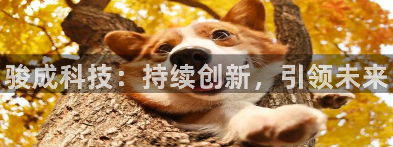 骏成科技：持续创新，引领未来