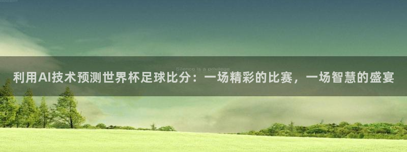 利用AI技术预测世界杯足球比分：一场精彩的比赛，一场智慧的盛宴