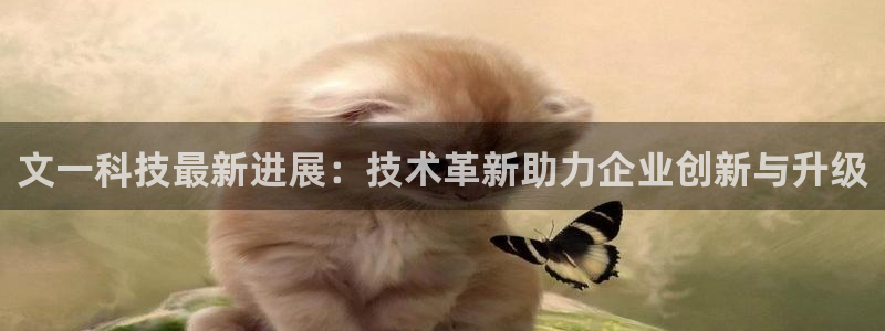 文一科技最新进展：技术革新助力企业创新与升级