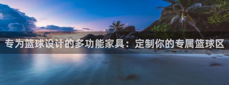 专为篮球设计的多功能家具：定制你的专属篮球区