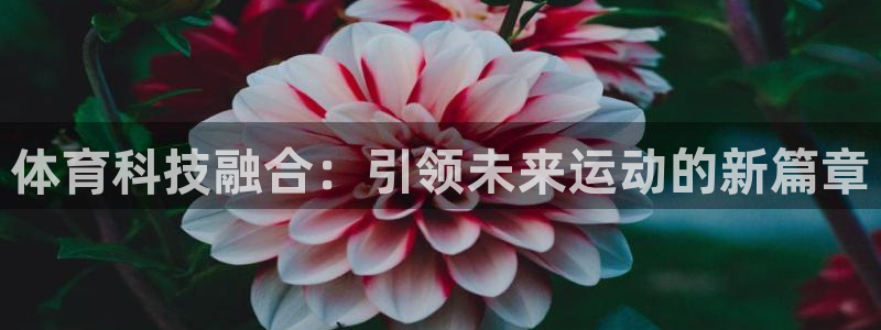 体育科技融合：引领未来运动的新篇章