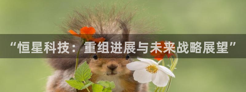 “恒星科技：重组进展与未来战略展望”