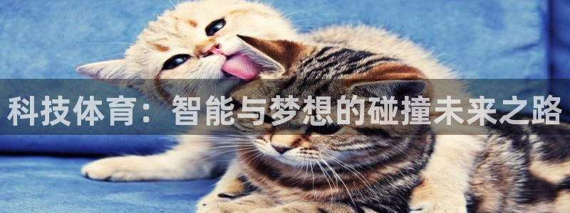 科技体育：智能与梦想的碰撞未来之路