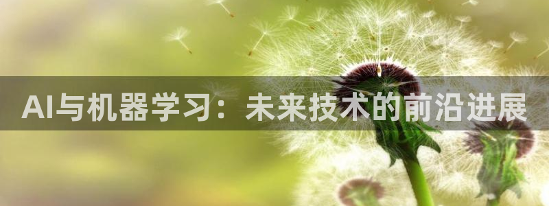 AI与机器学习：未来技术的前沿进展