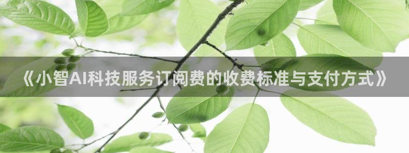 《小智AI科技服务订阅费的收费标准与支付方式》