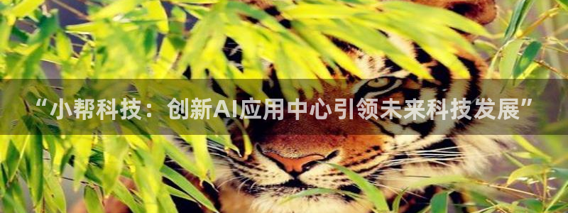 “小帮科技：创新AI应用中心引领未来科技发展”