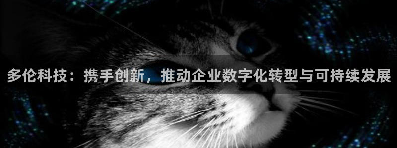 多伦科技：携手创新，推动企业数字化转型与可持续发展