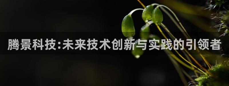 腾景科技:未来技术创新与实践的引领者