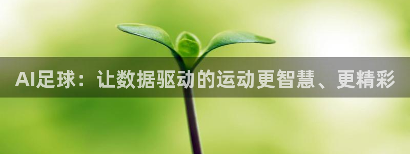 AI足球：让数据驱动的运动更智慧、更精彩
