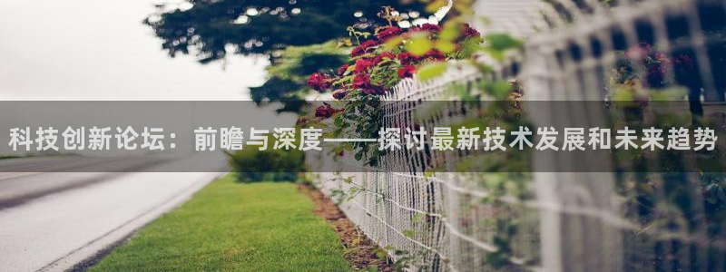 科技创新论坛：前瞻与深度——探讨最新技术发展和未来趋势