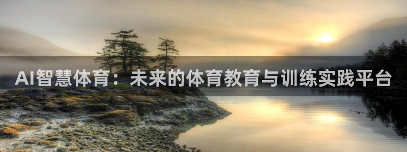AI智慧体育：未来的体育教育与训练实践平台