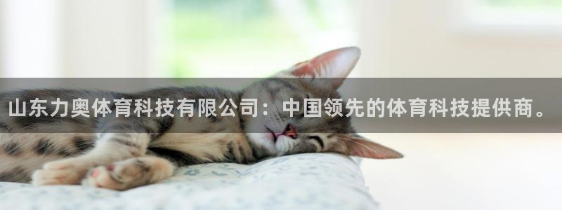 山东力奥体育科技有限公司：中国领先的体育科技提供商。