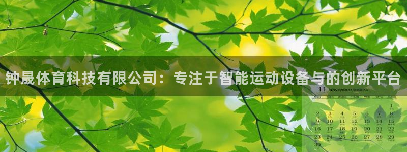 钟晟体育科技有限公司：专注于智能运动设备与的创新平台