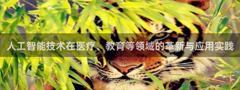 人工智能技术在医疗、教育等领域的革新与应用实践