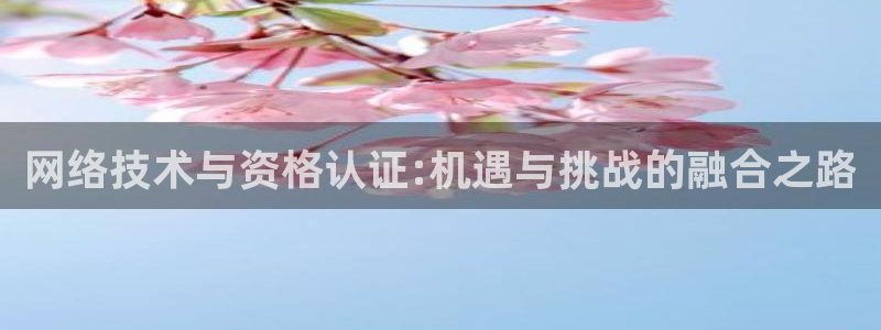 网络技术与资格认证:机遇与挑战的融合之路