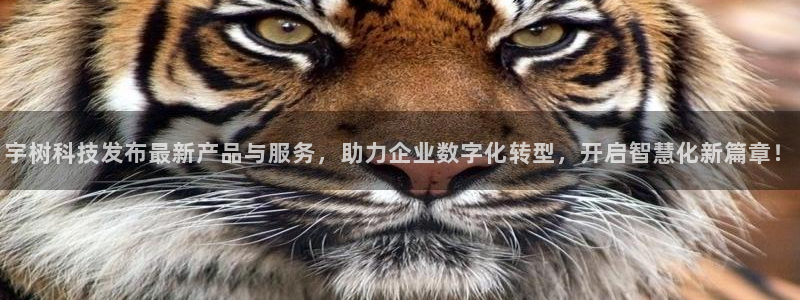 宇树科技发布最新产品与服务，助力企业数字化转型，开启智慧化新篇章！