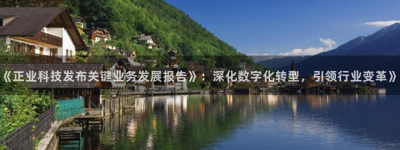 《正业科技发布关键业务发展报告》：深化数字化转型，引领行业变革》