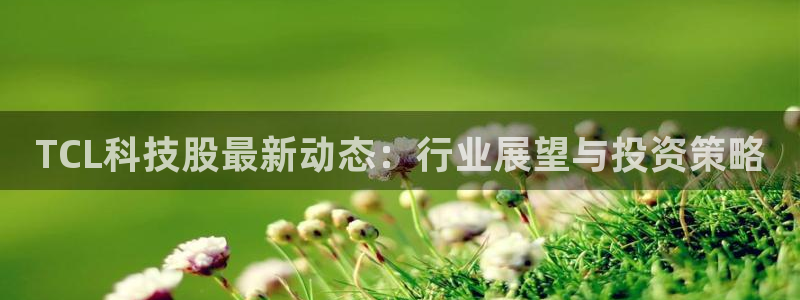 TCL科技股最新动态：行业展望与投资策略