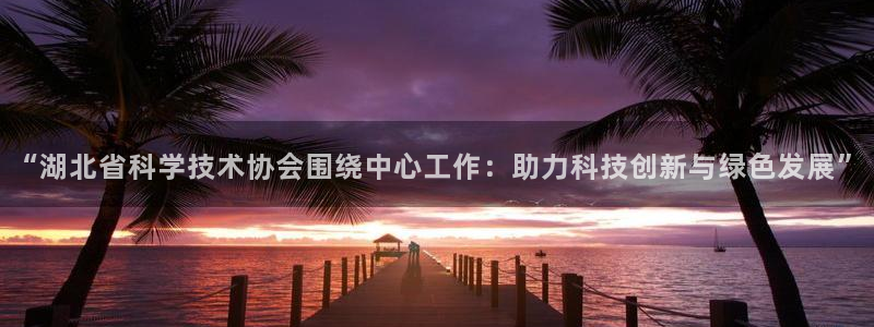 “湖北省科学技术协会围绕中心工作：助力科技创新与绿色发展”