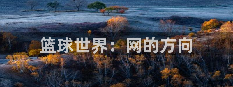 篮球世界：网的方向
