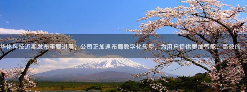 华体科技近期发布重要进展，公司正加速布局数字化转型，为用户提供更加智能、高效的。