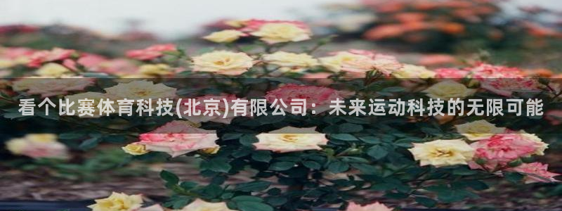 看个比赛体育科技(北京)有限公司：未来运动科技的无限可能