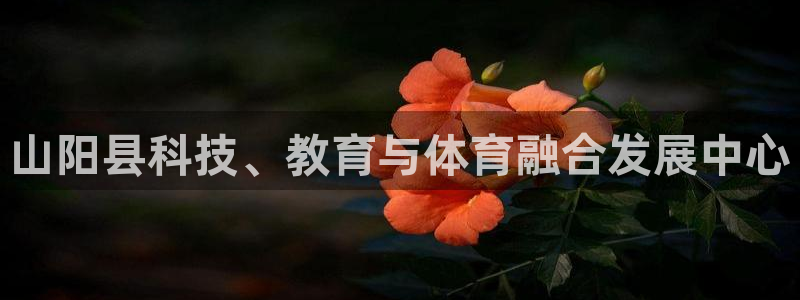 山阳县科技、教育与体育融合发展中心