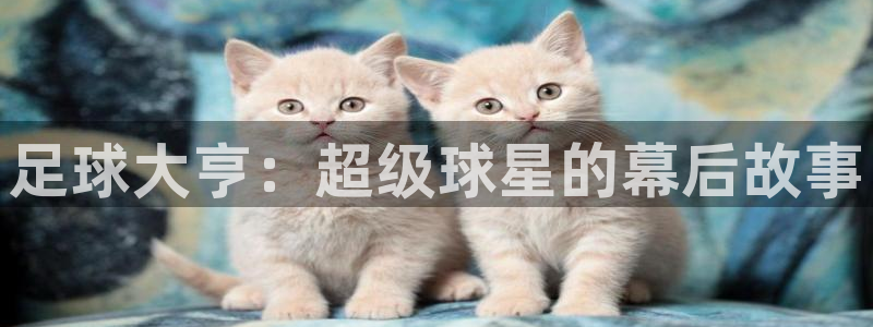 足球大亨：超级球星的幕后故事