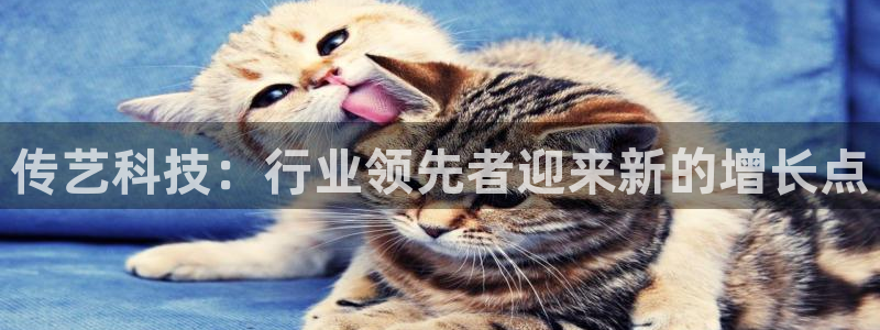 传艺科技：行业领先者迎来新的增长点