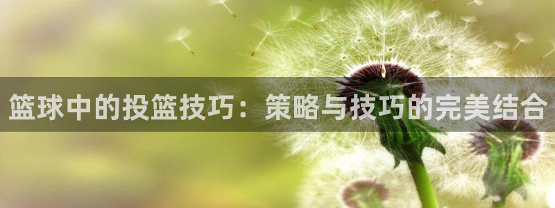 篮球中的投篮技巧：策略与技巧的完美结合