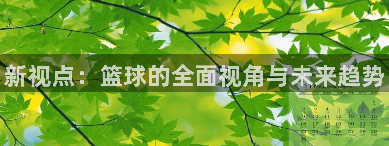新视点：篮球的全面视角与未来趋势
