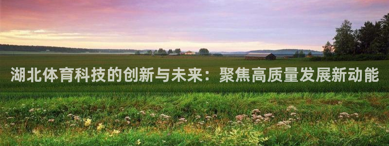 湖北体育科技的创新与未来：聚焦高质量发展新动能