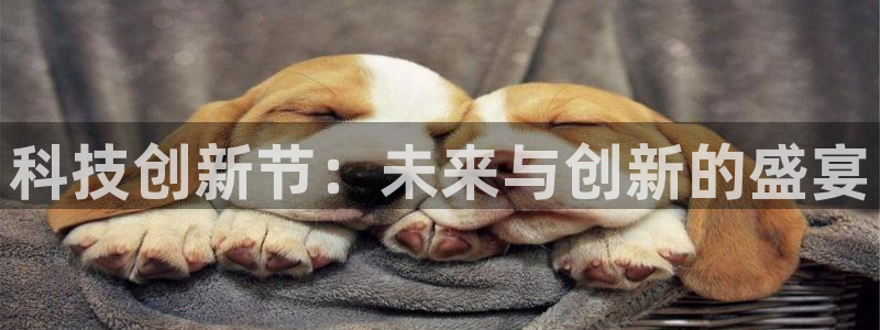 科技创新节：未来与创新的盛宴