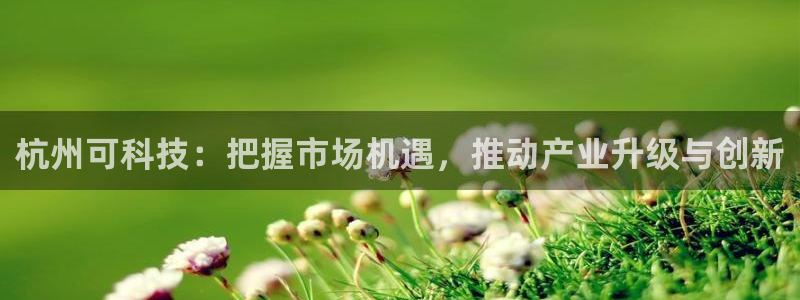 杭州可科技：把握市场机遇，推动产业升级与创新