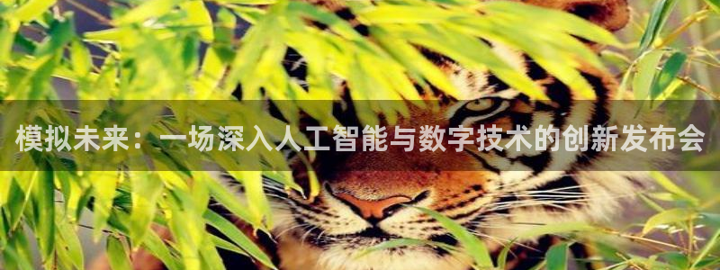 模拟未来：一场深入人工智能与数字技术的创新发布会