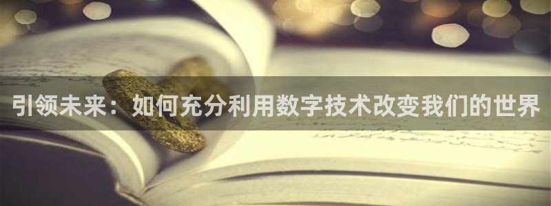 引领未来：如何充分利用数字技术改变我们的世界