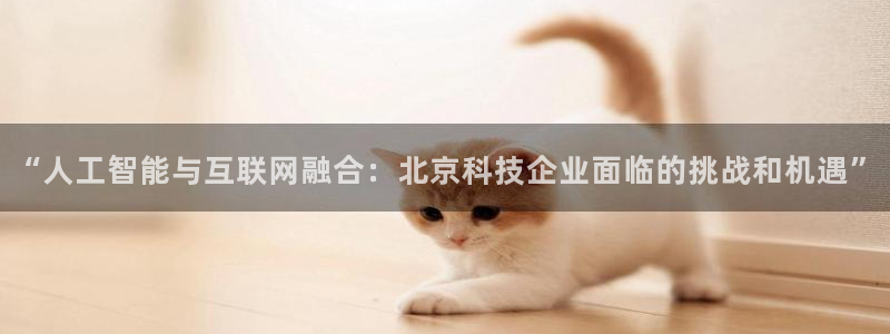 “人工智能与互联网融合：北京科技企业面临的挑战和机遇”