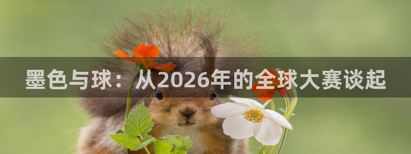 墨色与球：从2026年的全球大赛谈起