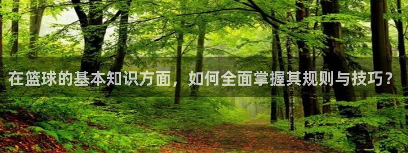 在篮球的基本知识方面，如何全面掌握其规则与技巧？